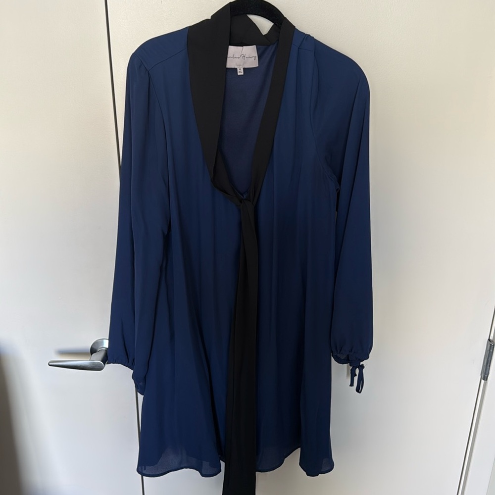 Stunning work dress with neck tie detail
